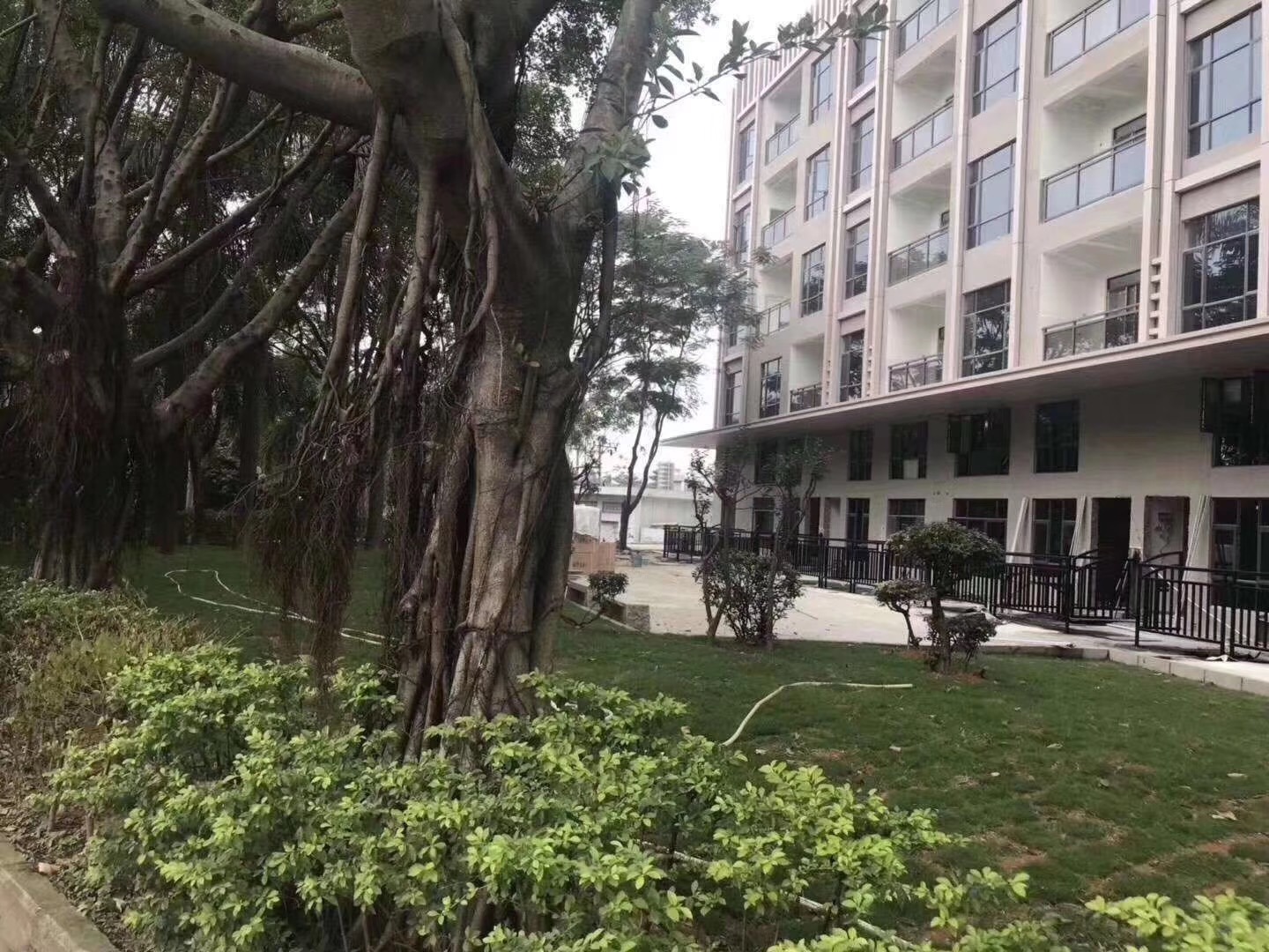 石巖小產權房