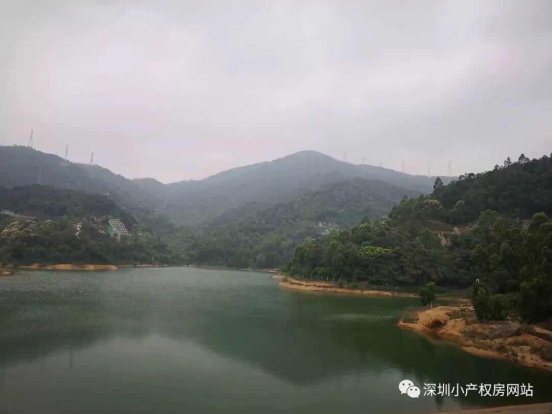 山水綠園一房一廳56平方，56.8萬/套起